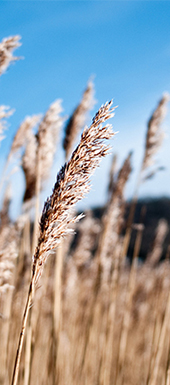 首页-BB视讯厅真人官方网站