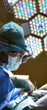 首页-BB视讯厅真人官方网站