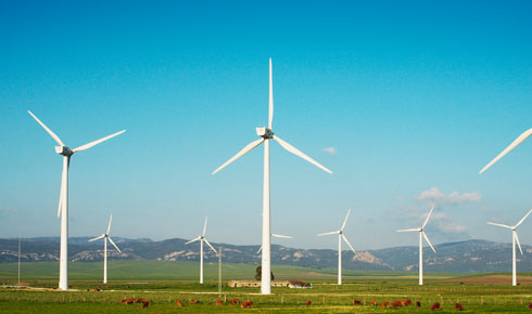 首页-BB视讯厅真人官方网站